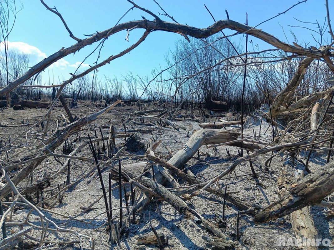 В Хабаровском крае ввели режим ЧС из-за сложной пожароопасной обстановки
