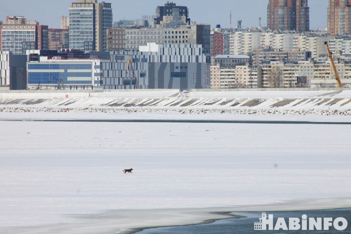Вскрытие рек ожидается в Хабаровском крае