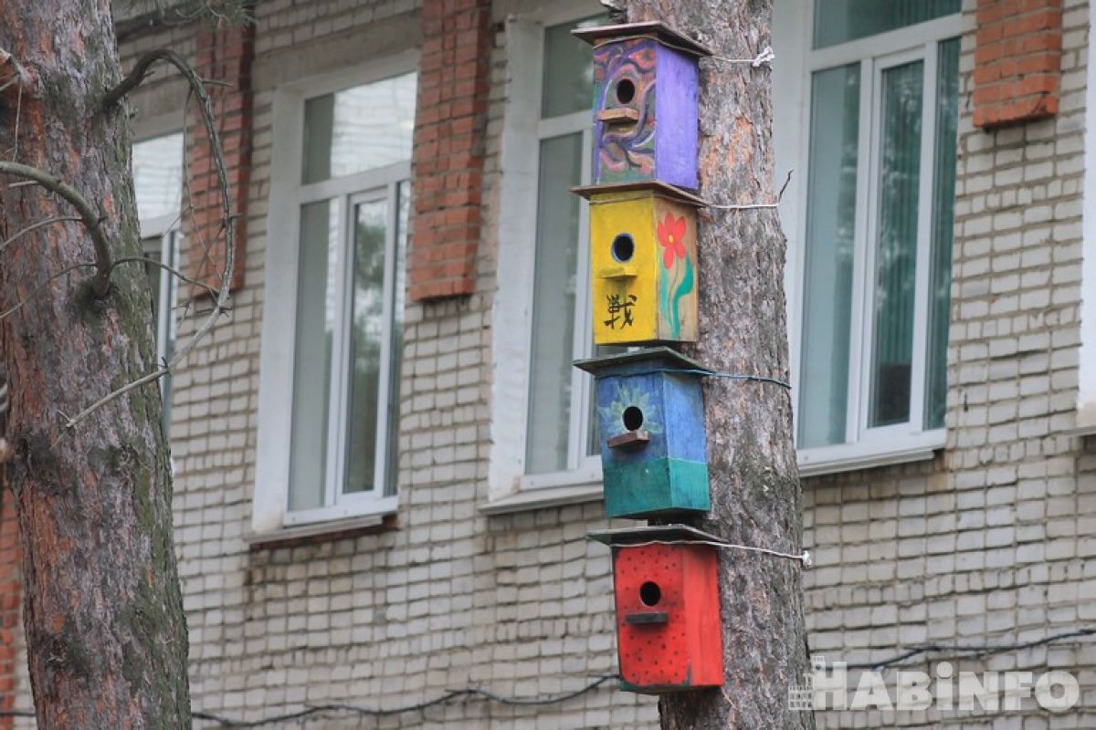 Осадки и морозы: каким будет ноябрь в Хабаровске