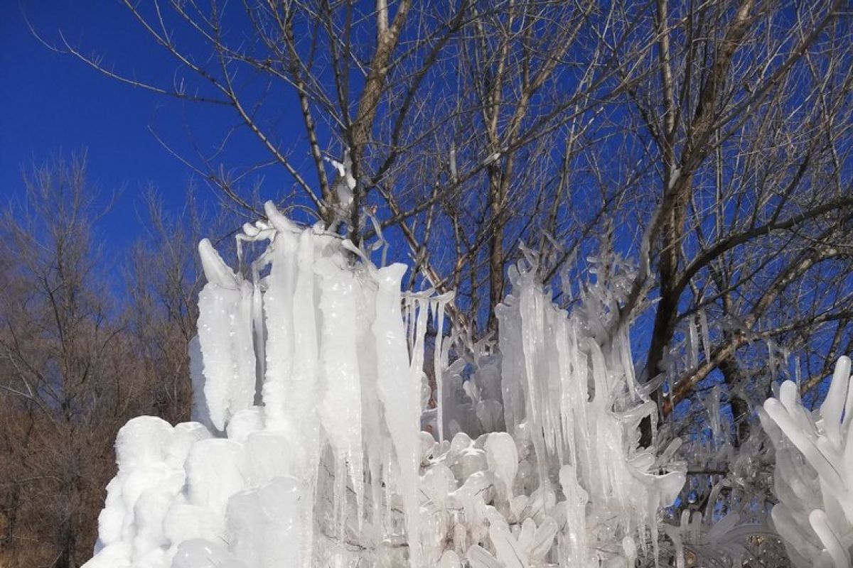 Весной пока не пахнет: погода на февраль в Хабаровске