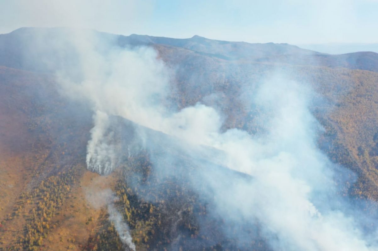«Нужно просто говорить правду»: природный памятник у озера Амут пытаются спасти от пожара