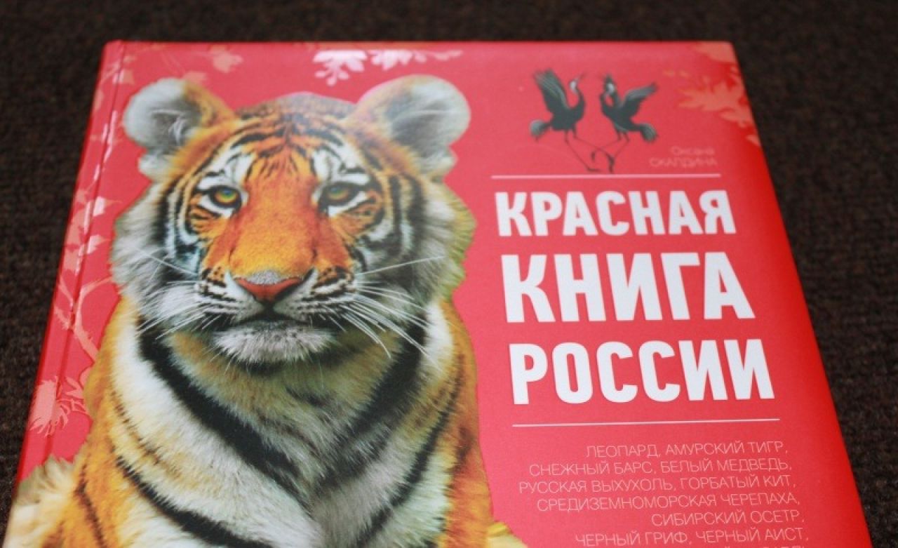 Красную книгу России обновили впервые за 23 года