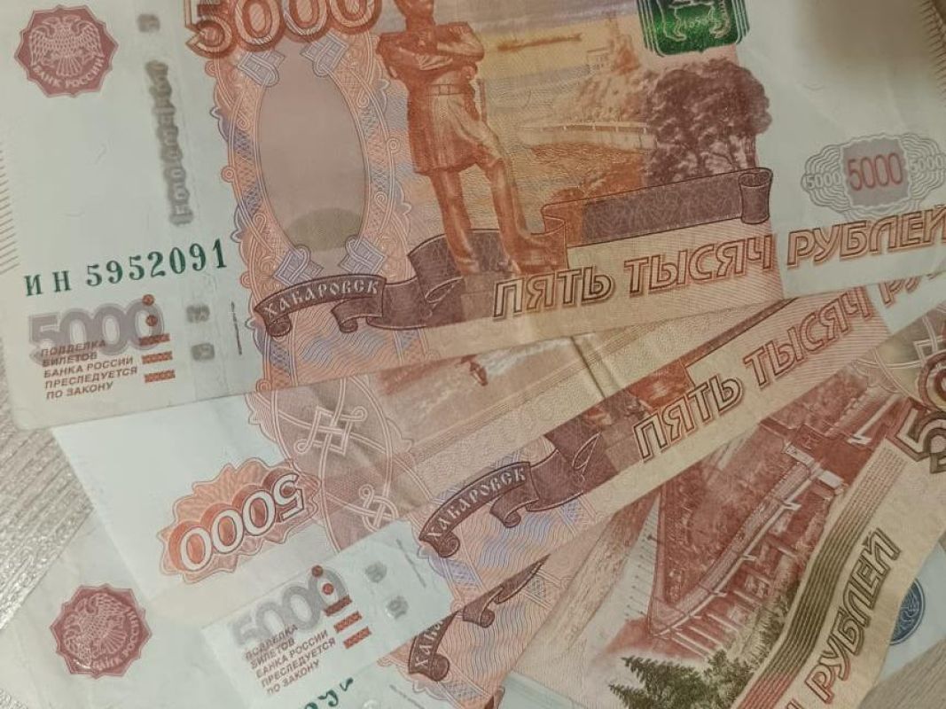 До полумиллиона рублей могут получить от мэрии родители двойняшек и тройняшек в Хабаровске