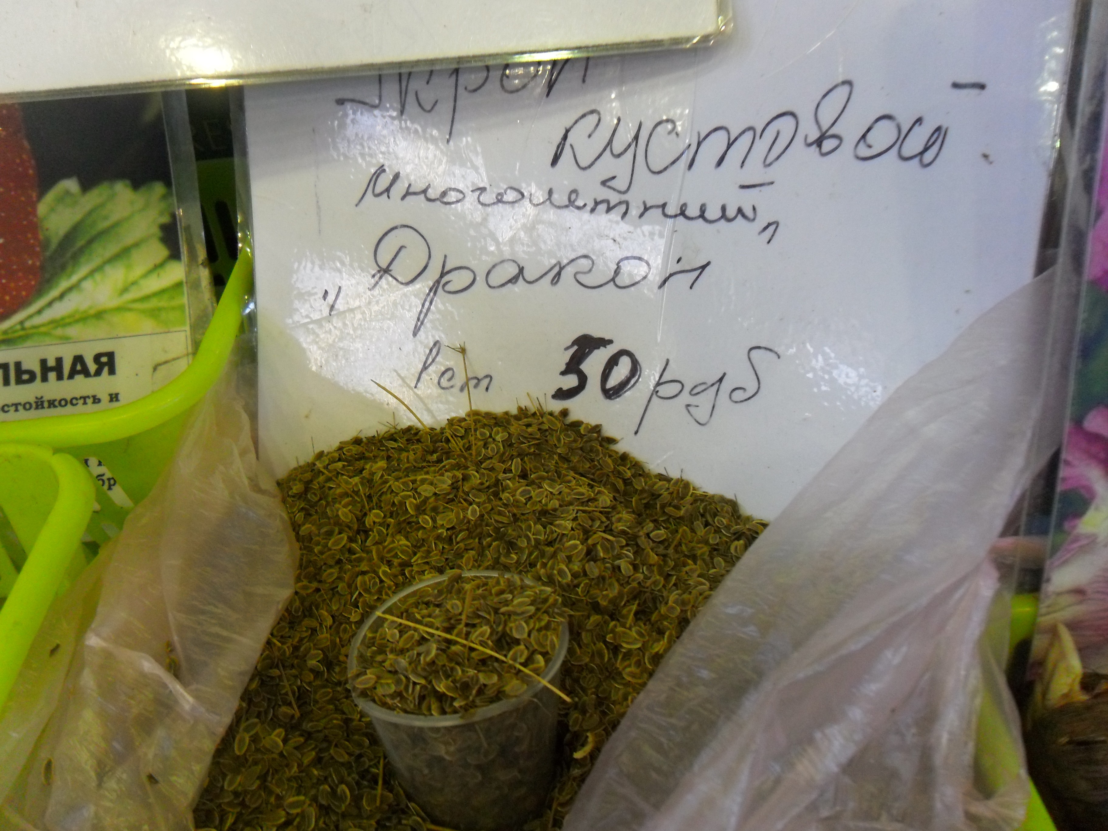 Семена для иркутска Семена для иркутска