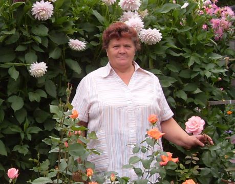 В саду у Галины Божко из п. Переяславка немало цветочных новинок. Парадный вход украшают розы и георгины. Долихос закрывает надворные постройки и отделяет хоздвор от огорода