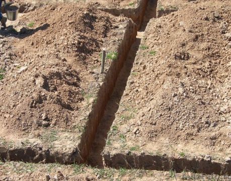 Дальневосточные огородники Дальнего Востока