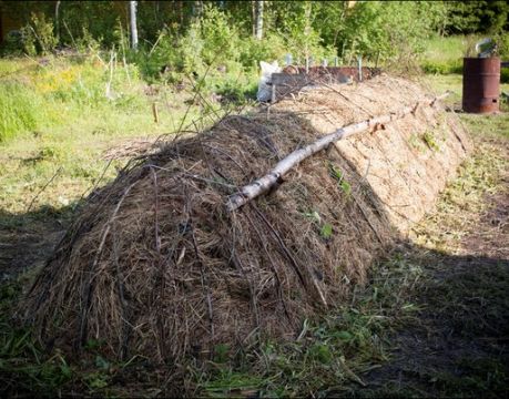 виды грядок на огороде фото
