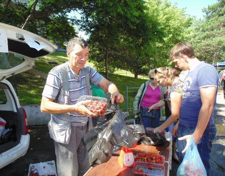 Клубника Павла Яцевича из Бикина пользуется неизменным спросом уже не первый год