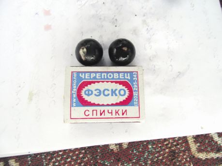 Сорт Пигмей