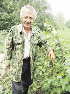 Сорт Себила