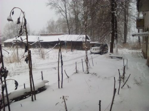 Здесь жили люди и подсолнухи