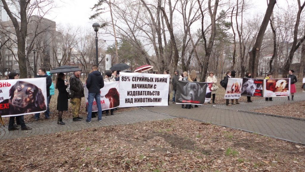 Активисты требуют привлечь живодеров к ответственности