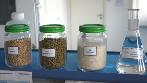 Ингредиенты для приготовления хмельных напитков