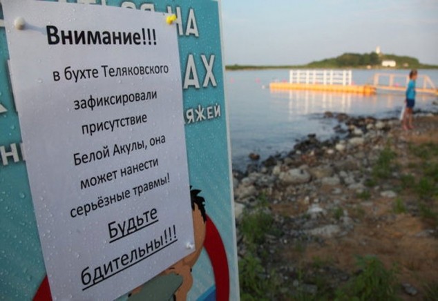Вот такие плакаты появляются в этом году на пляжах Приморья.