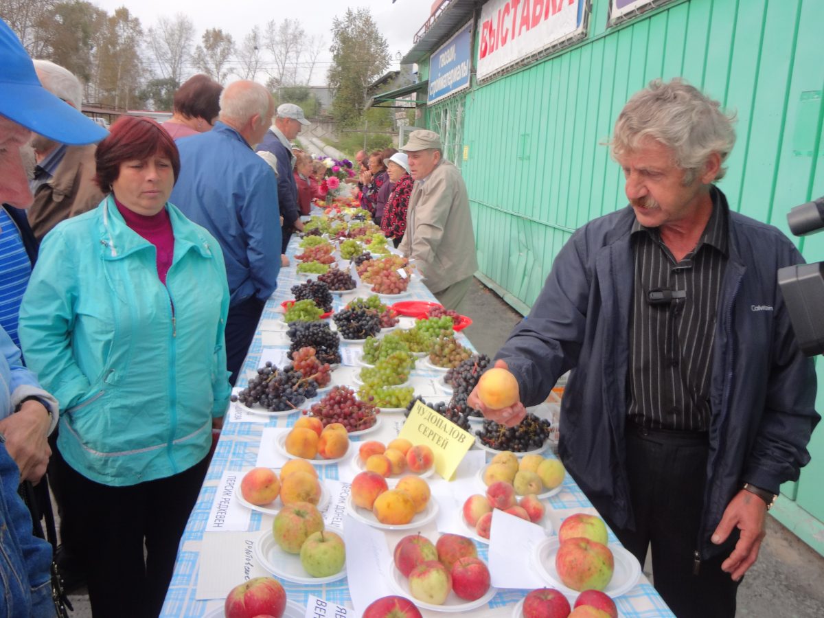 Сергей Чудопалов провел ликбез по выращиванию плодовых