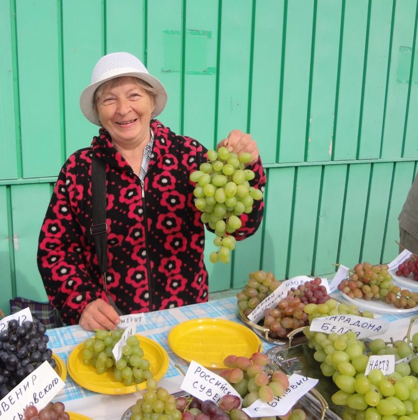 У Лидии Фоминой более 40 сортов винограда