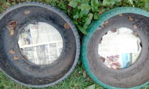 Благодаря "газетному" мульчированию трава срекди однолетников в клумбах не прорастёт