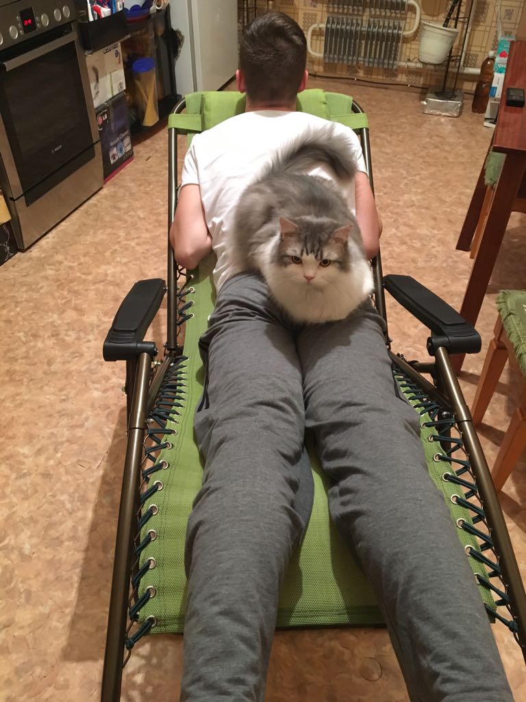 Пятничные котики хабаровчан: рыжий бандит Алекс, которого хочется холить и лелеять