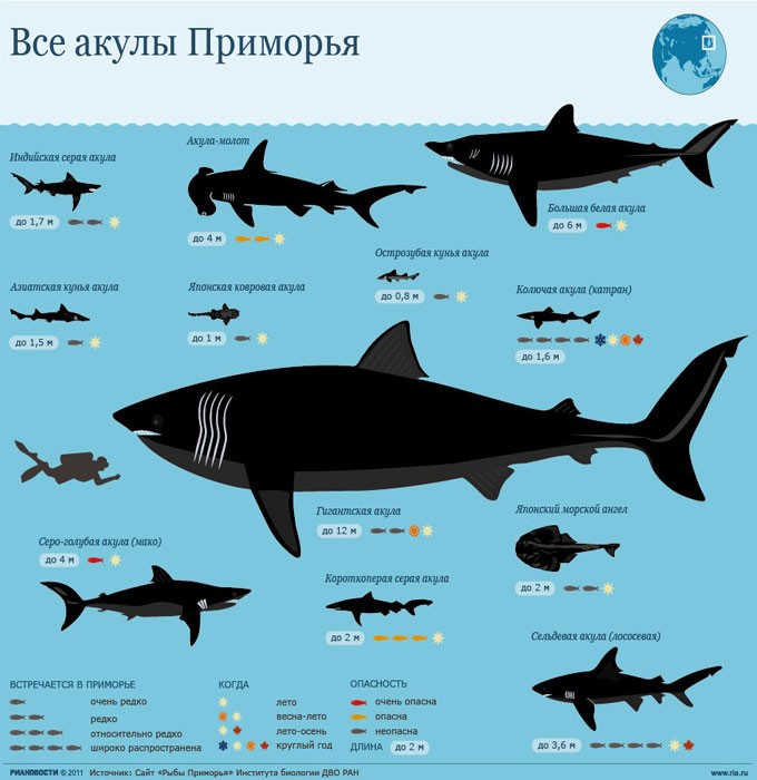Безопасный отпуск: на каких пляжах Приморья можно отдыхать