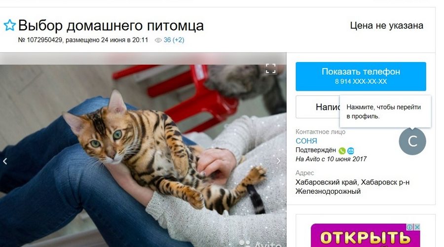 Друг за 500 рублей и гостиница для цветов: самые оригинальные объявления с городских сайтов