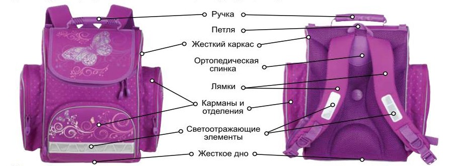 Тяжелая ноша: сколько должен весить портфель хабаровского школьника