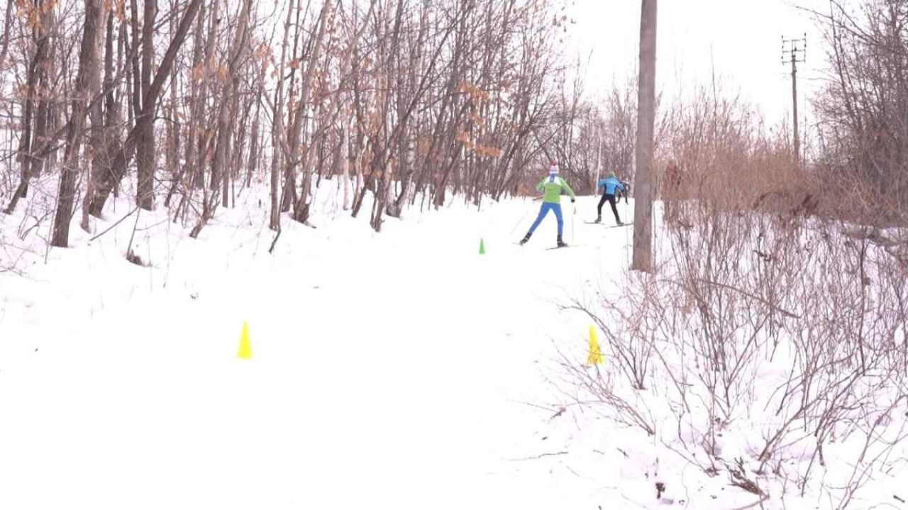 Размеры парка ДОФ в Хабаровске увеличат в трое и проложат там лыжню