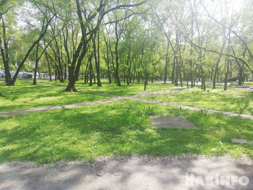 Парк вместо бывшей свалки построят в Берёзовке