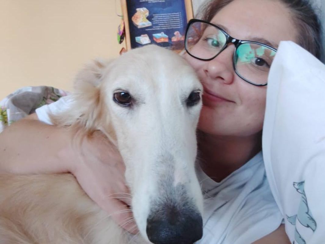 Собаки-обнимаки: читатели рассказали нам про своих любимцев