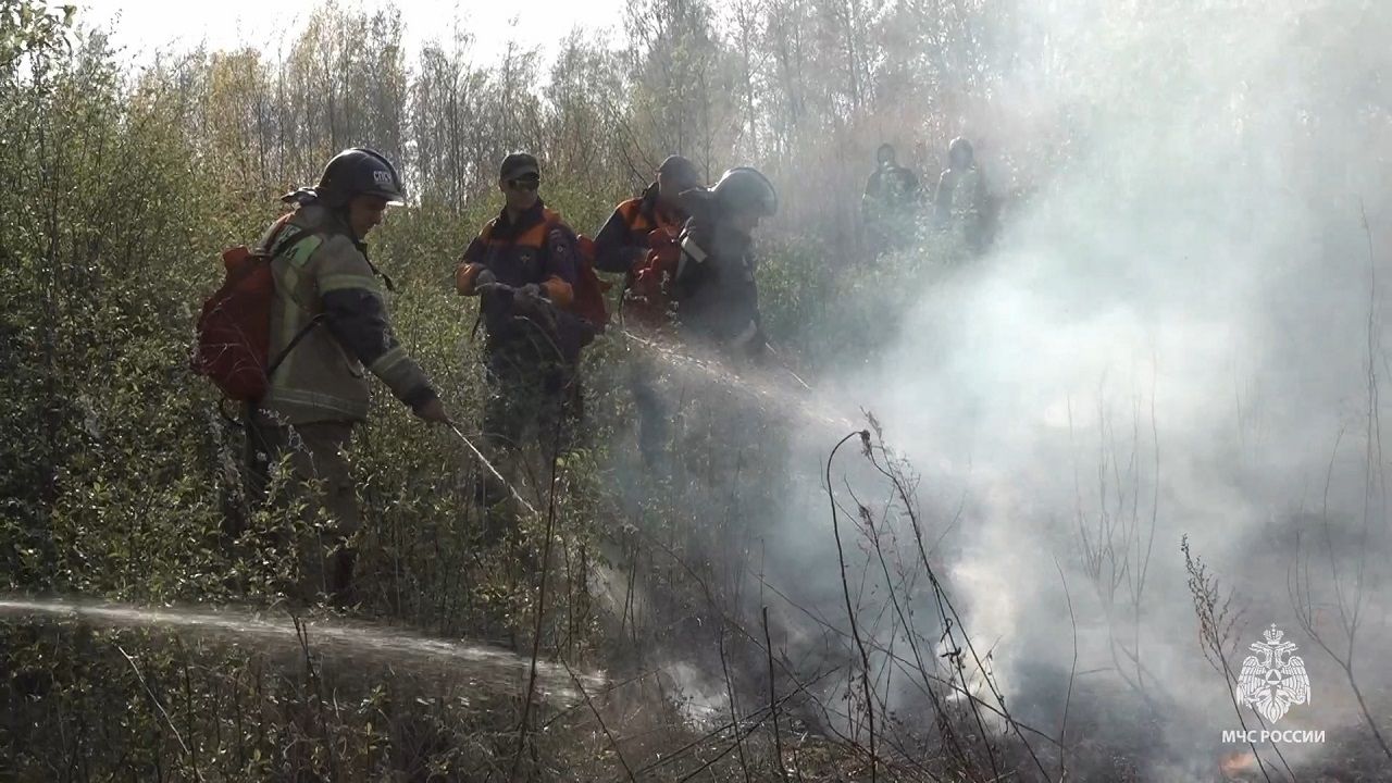 Авиация и спасатели МЧС ликвидировали пожары у села Голубичное
