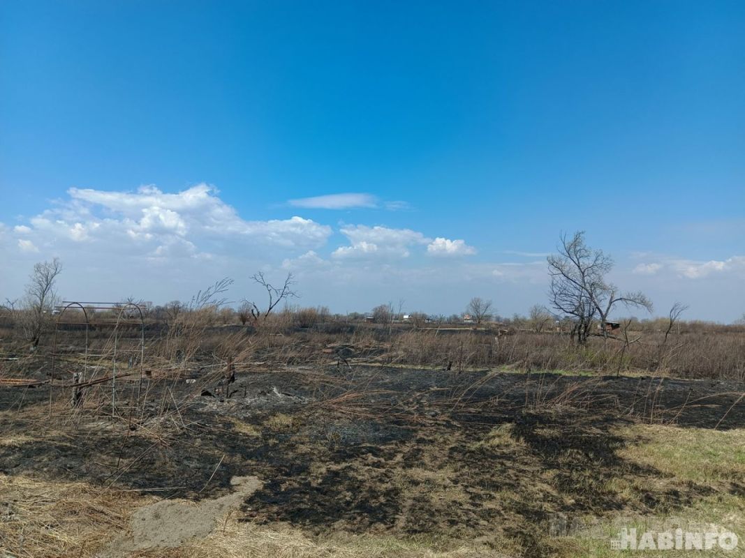 Лесные пожары в Хабаровском крае потушены
