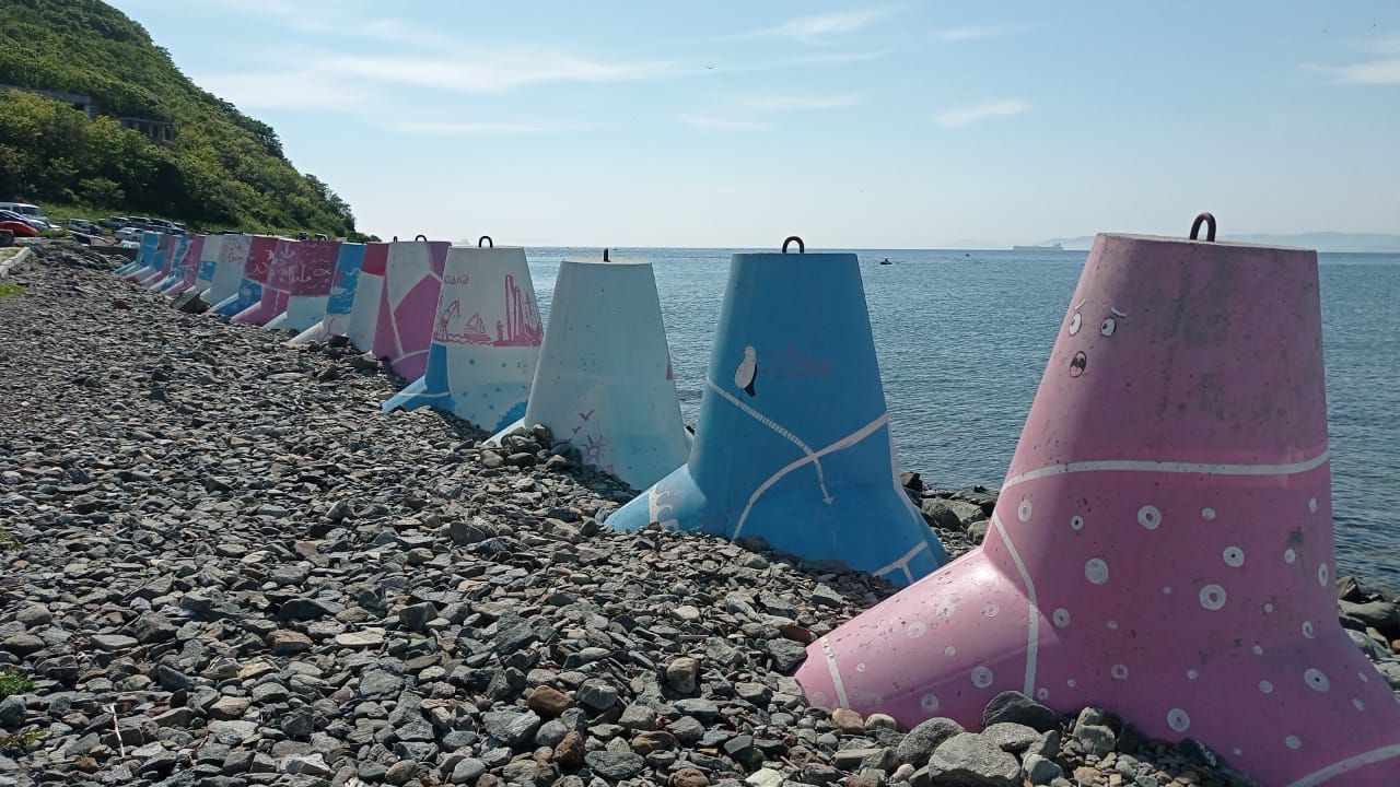 Мультимодальные летние поезда к местам отдыха на море запустили на ДВЖД