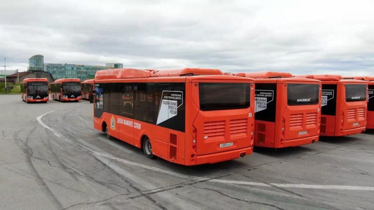 Новые оранжевые «Волгобасы» вышли на пригородные маршруты