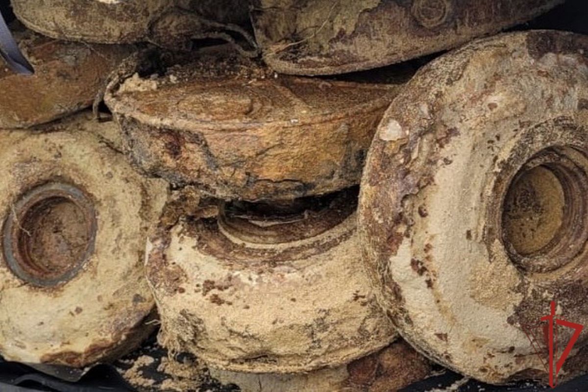На острове возле Хабаровска найдены учебные мины