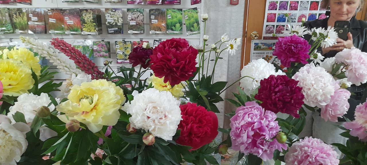 Пионовая феерия прошла в Хабаровске