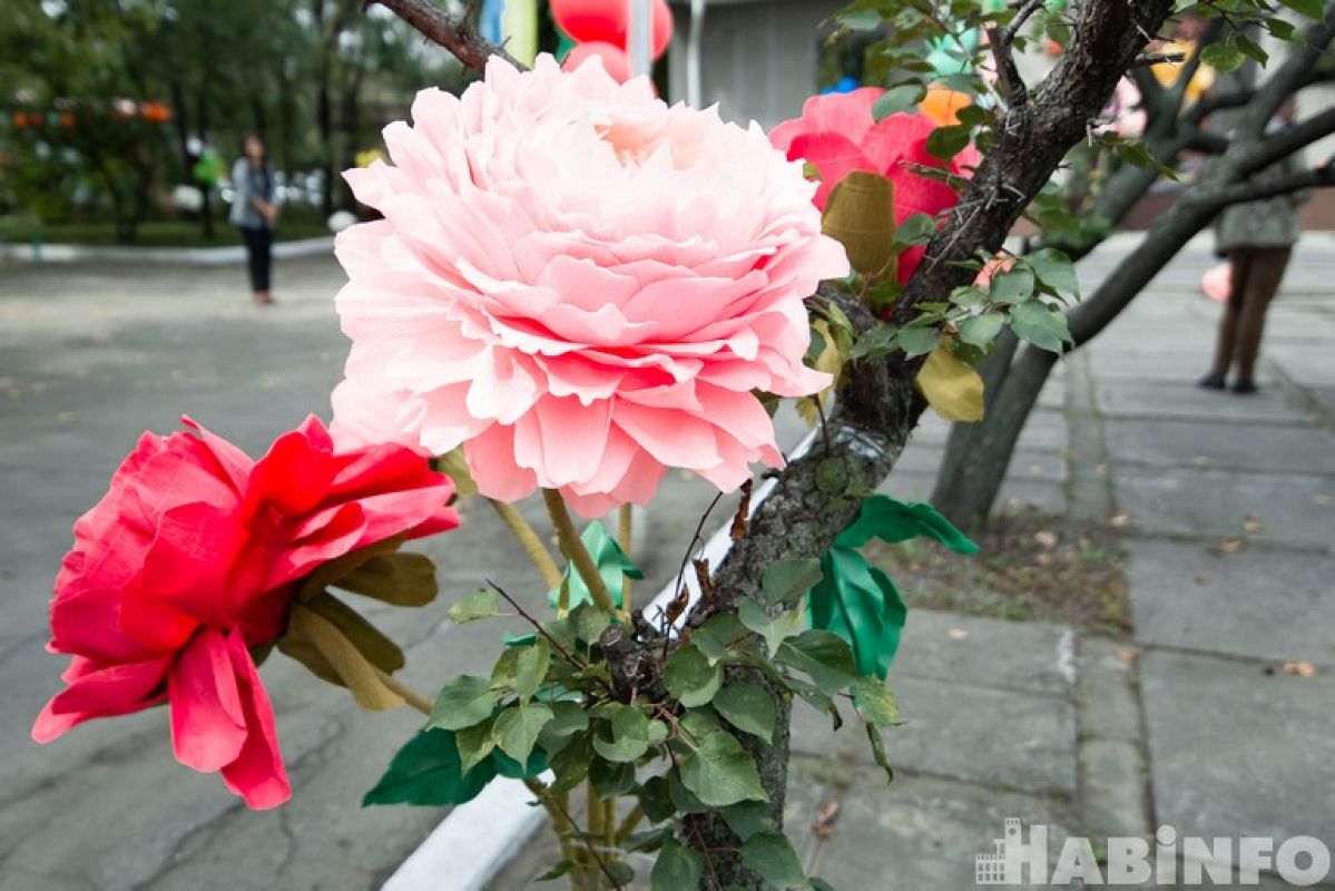 Лето в ярких красках: «Вальс цветов» пройдет в Хабаровске