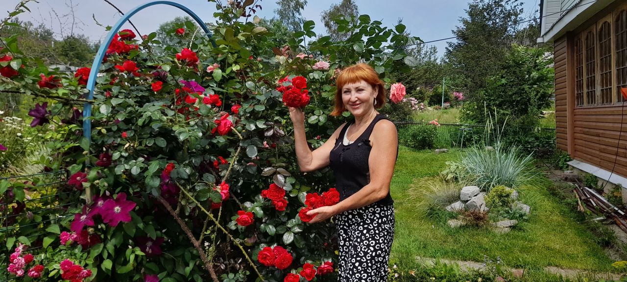 Людмила Шустова: прощай, огород, здравствуй, розарий!