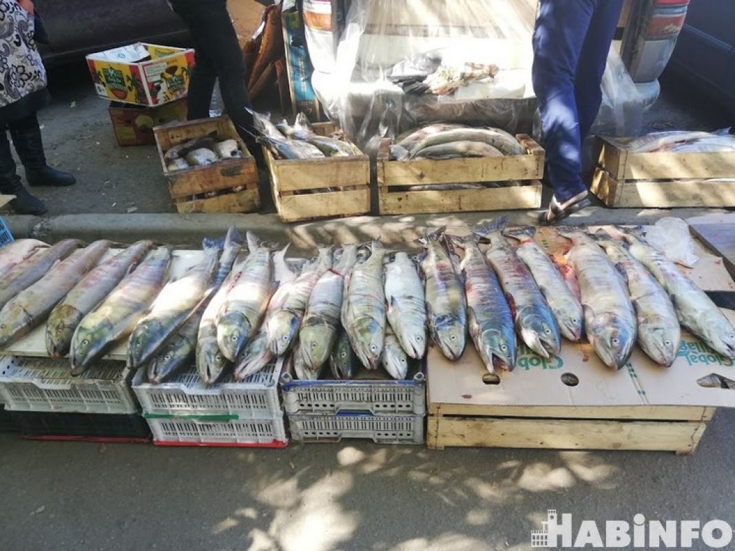 Лососевых нет: в поисках доступной рыбы в Хабаровске