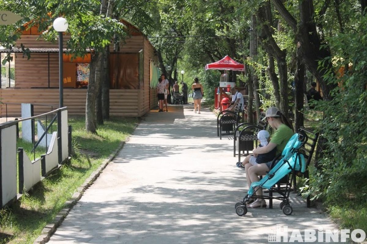 Хабаровчан приглашают выбрать место для новых скверов