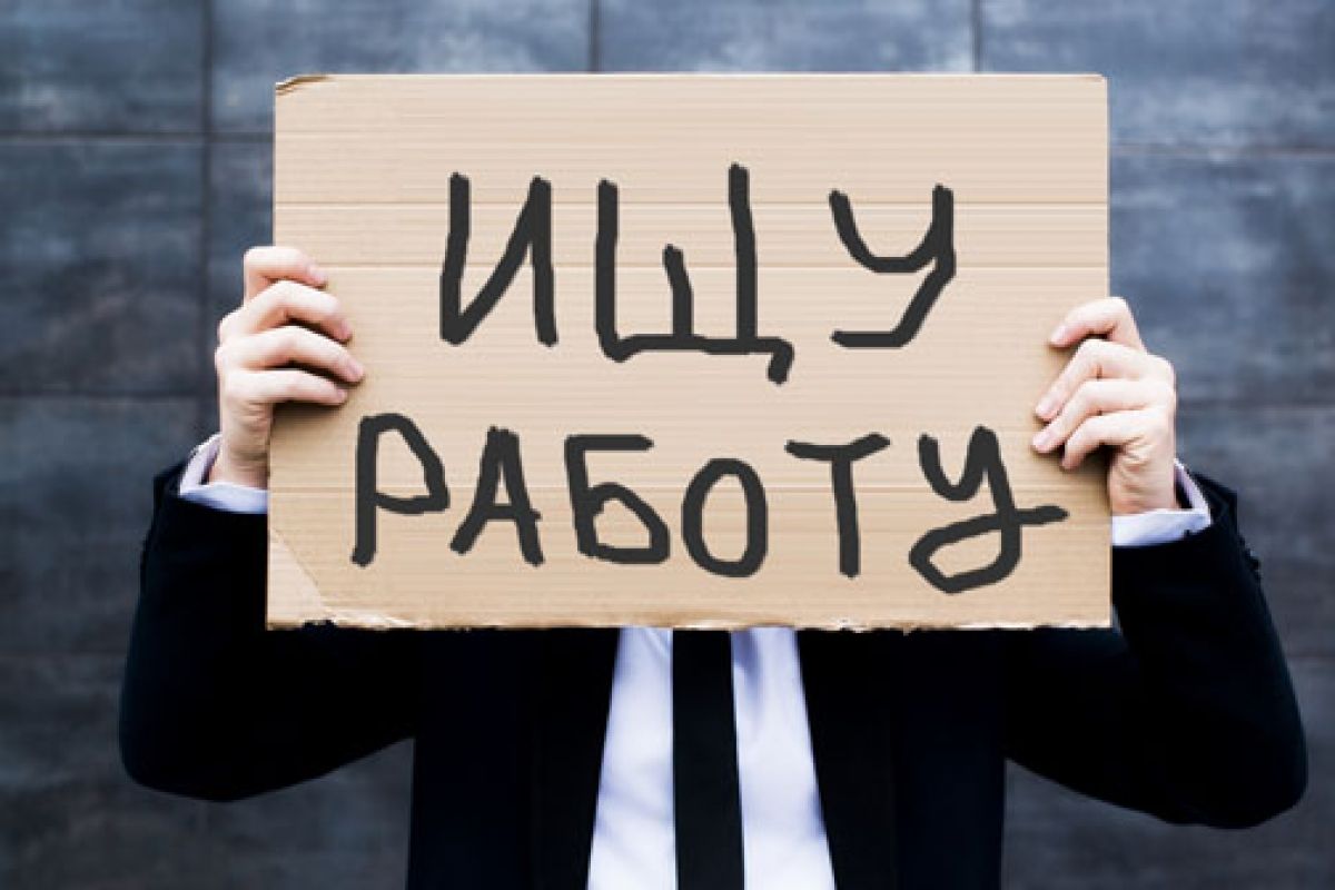 Увеличили пособие, или Почему в Хабаровском крае растёт безработица