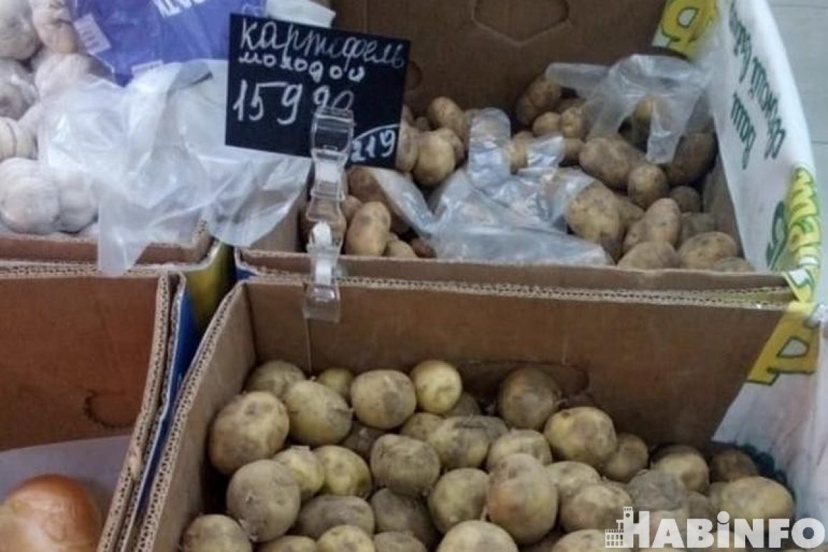 Дорогая моя картошка: почему подорожал «второй хлеб» в Хабаровске