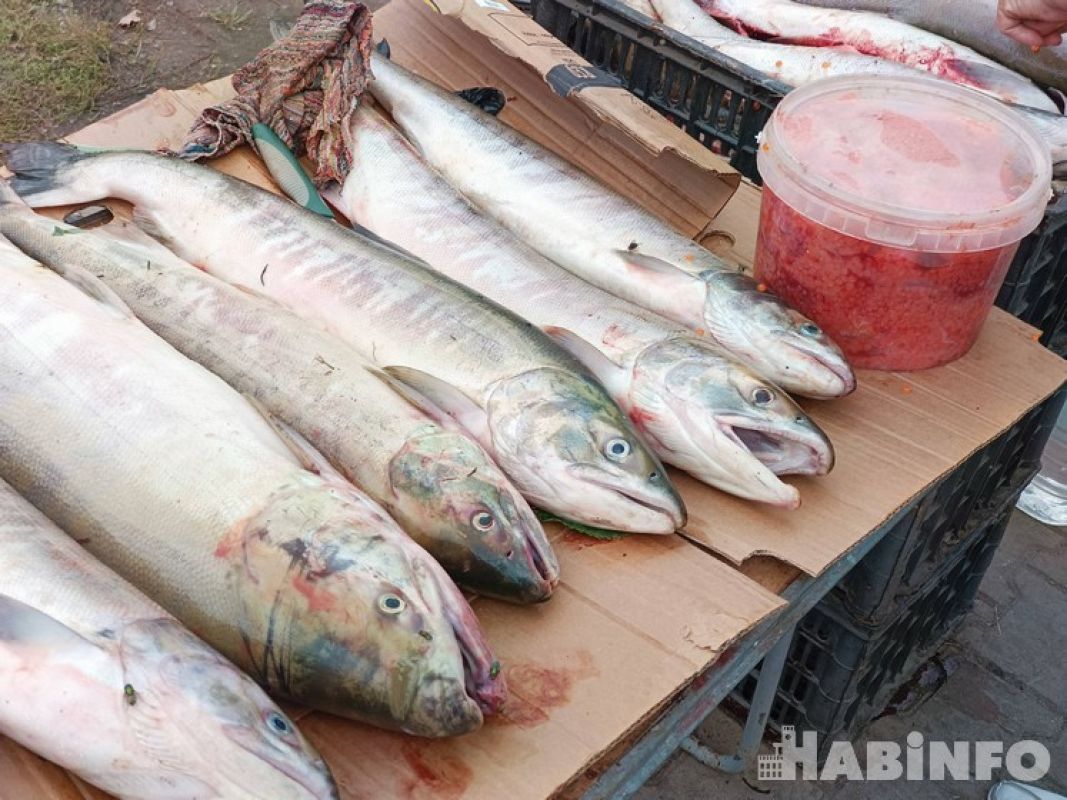 Браконьера с рыбой на два с половиной миллиона рублей задержали в Хабаровском крае