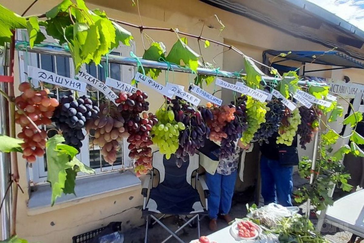 «Дары Амурской осени» — праздник полный радости и&nbsp;вкуса