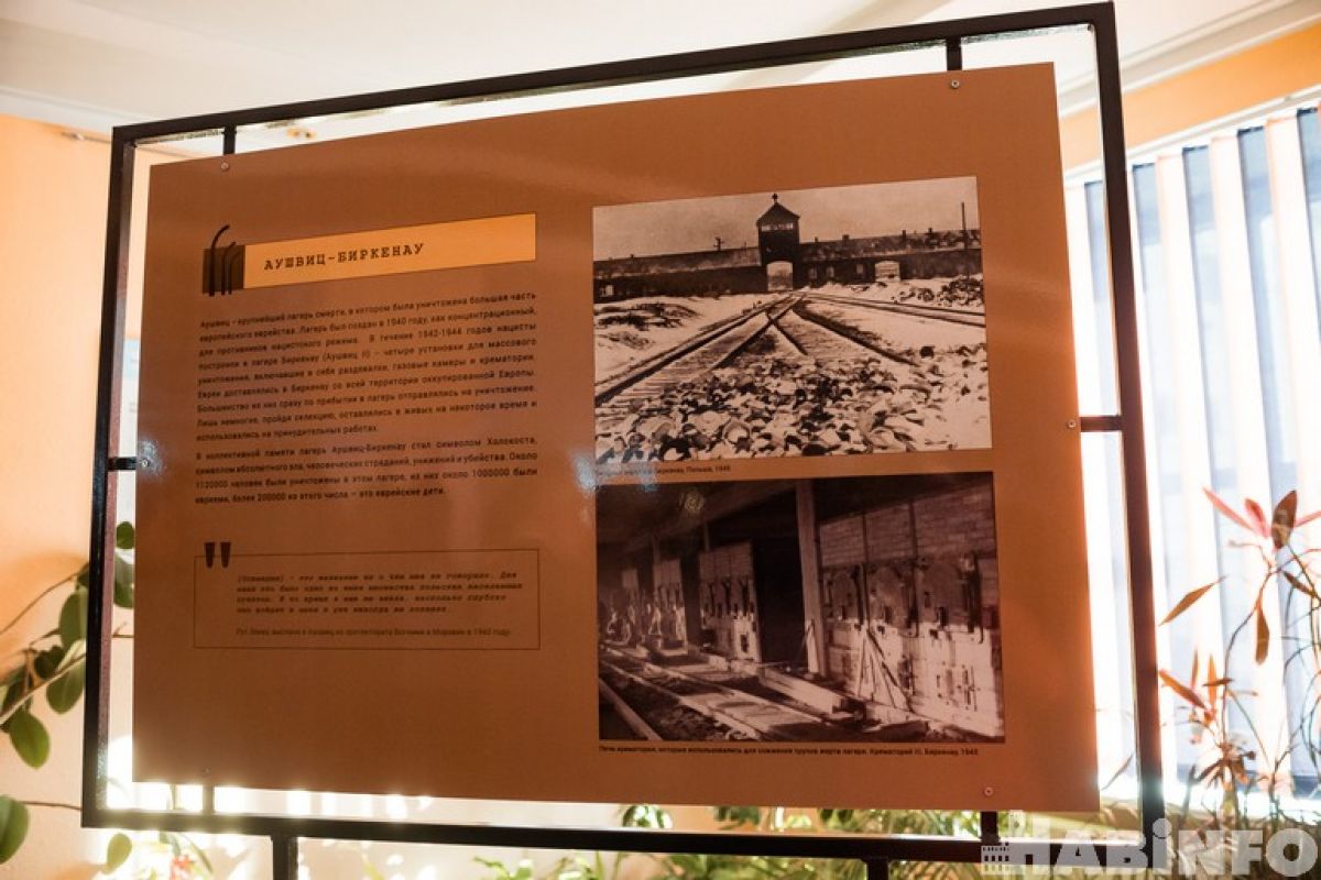 В шаге от смерти: хабаровчанам показали фотоисторию концлагеря Аушвиц