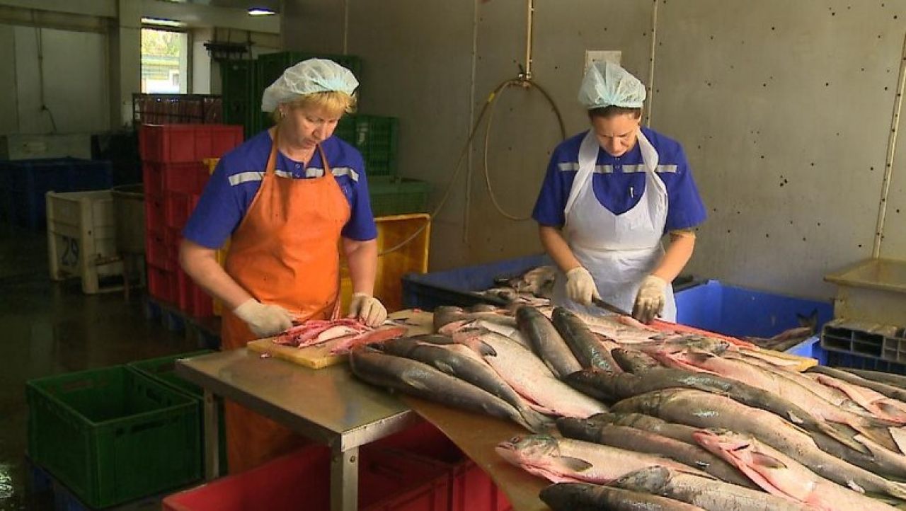 Рыбоперерабатывающий завод в Хабаровске увеличит производство в 2,5 раза