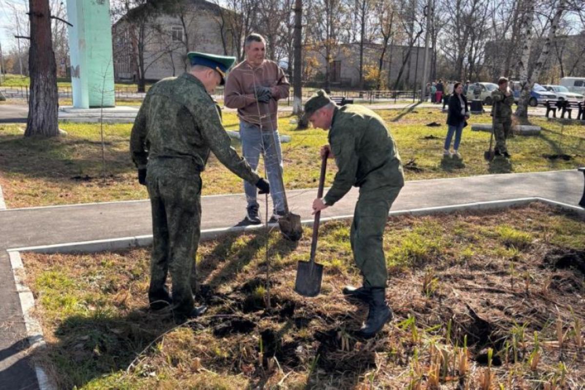 В Хабаровском крае завершилась акция «Сохраним лес»