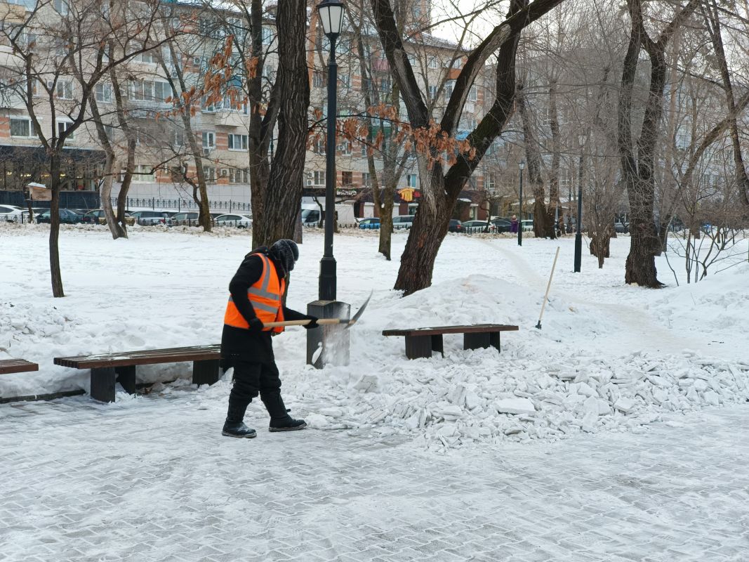 Прокуратура потребовала от мэра Хабаровска и обсуживающих организаций очистить город от снега