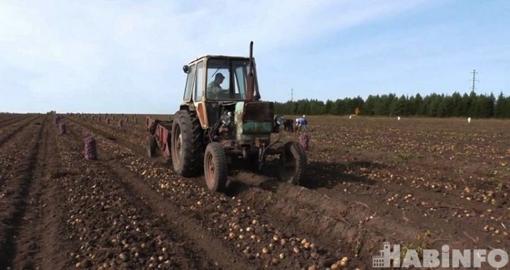 Выписка из субъектов малого и среднего предпринимательства. Выписка из субъектов малого и среднего предпринимательства