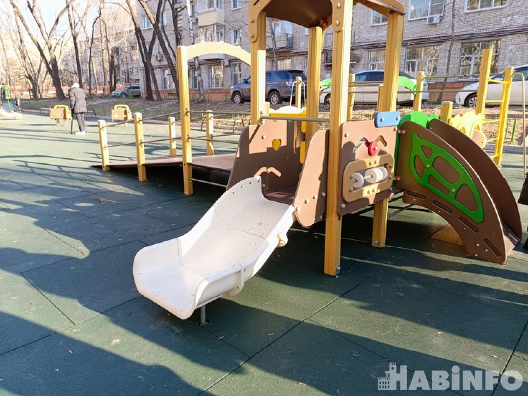Новые нацпроекты запустят в Хабаровском крае по поручению Президента