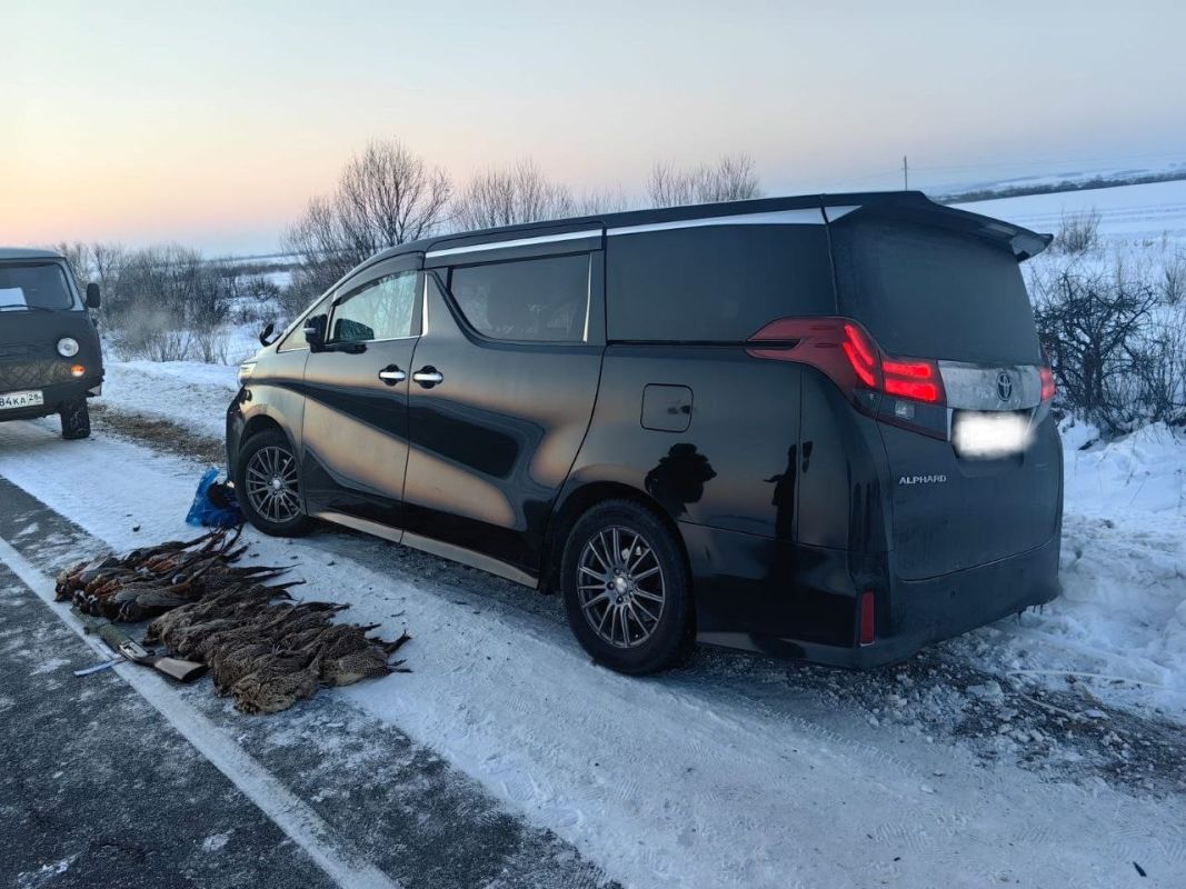 В Амурской области задержаны браконьеры из Хабаровска