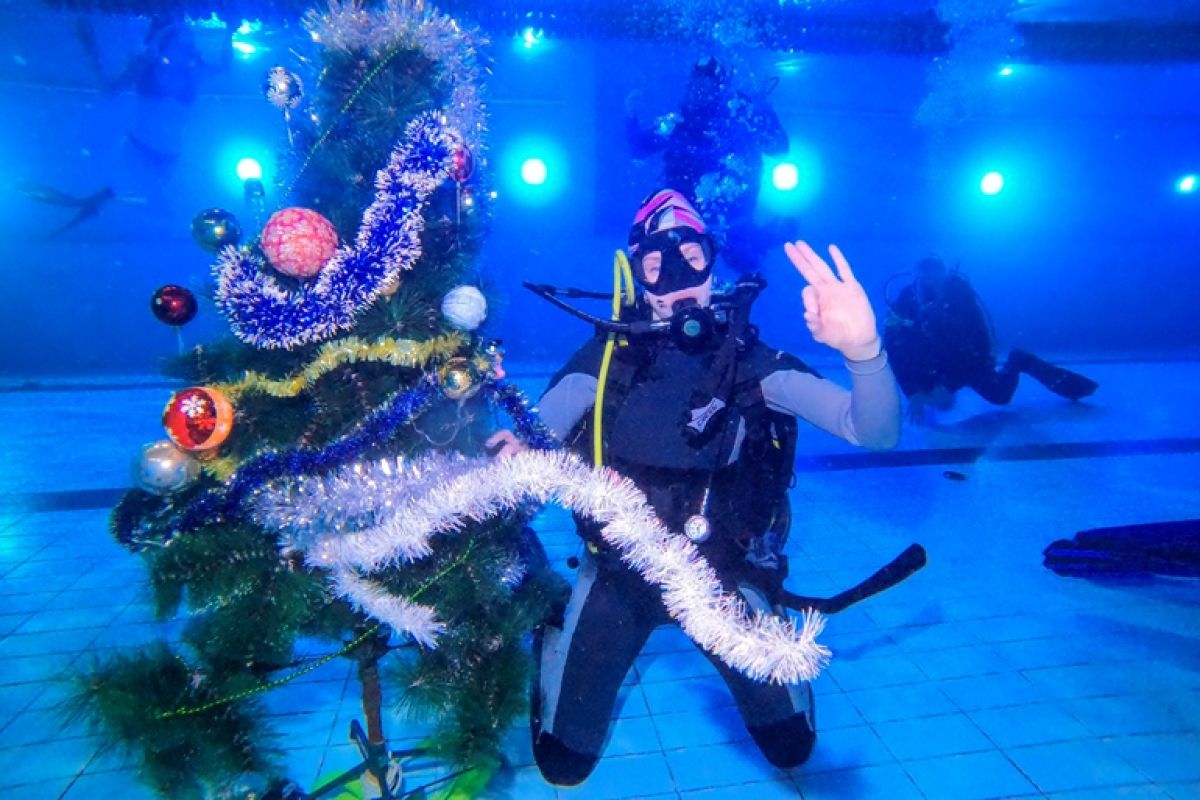Новый год под водой: как дайверы водили хоровод на трёхметровой глубине